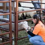 Haunted Halloween at Red Ridge Ranch photo