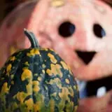 Haunted Halloween at Red Ridge Ranch photo