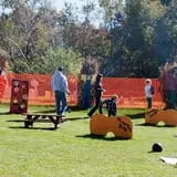 Haunted Halloween at Red Ridge Ranch photo