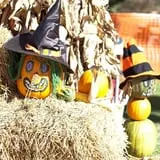 Haunted Halloween at Red Ridge Ranch photo