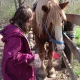 Haunted Halloween at Red Ridge Ranch photo