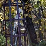 Haunted Halloween at Red Ridge Ranch photo