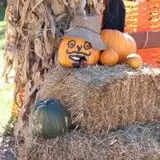 Haunted Halloween at Red Ridge Ranch photo