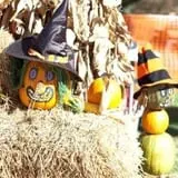 Haunted Halloween at Red Ridge Ranch photo