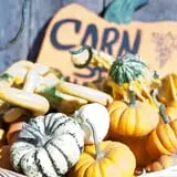 Haunted Halloween at Red Ridge Ranch photo