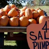 Haunted Halloween at Red Ridge Ranch photo