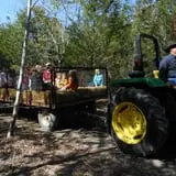 Blase Family Farm Pumpkin Patch photo