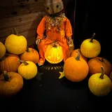 Asylum of Horror photo
