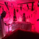 Asylum of Horror photo