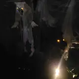 Asylum of Horror photo