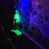 Asylum of Horror photo