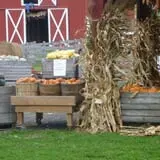 Greg's U-Pick Farm photo
