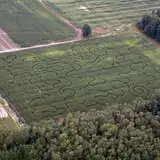 Greg's U-Pick Farm photo