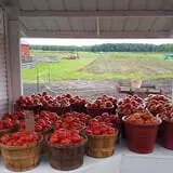 Greg's U-Pick Farm photo