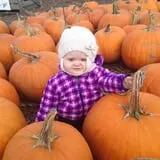 Greg's U-Pick Farm photo