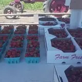 Greg's U-Pick Farm photo