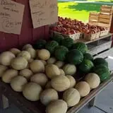 Greg's U-Pick Farm photo