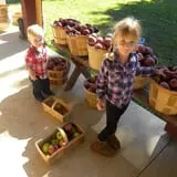 Greg's U-Pick Farm photo