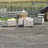 Greg's U-Pick Farm photo