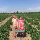 Greg's U-Pick Farm photo