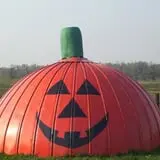 Greg's U-Pick Farm photo