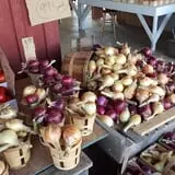 Greg's U-Pick Farm photo