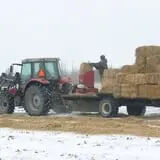 Greg's U-Pick Farm photo