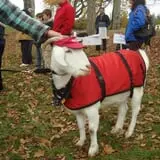 DeMeritt Hill Farm Pumpkin Patch & Hayride photo