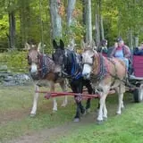 DeMeritt Hill Farm Pumpkin Patch & Hayride photo