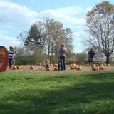 DeMeritt Hill Farm Pumpkin Patch & Hayride photo