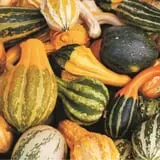 DeMeritt Hill Farm Pumpkin Patch & Hayride photo