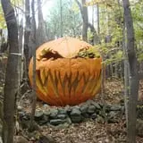 DeMeritt Hill Farm Pumpkin Patch & Hayride photo