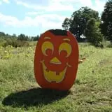 DeMeritt Hill Farm Pumpkin Patch & Hayride photo