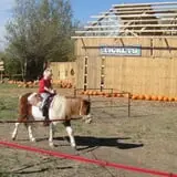 Mr. Gourdman's Pumpkin Patch photo