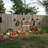 Mr. Gourdman's Pumpkin Patch photo