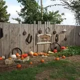 Mr. Gourdman's Pumpkin Patch photo