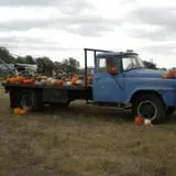 Mr. Gourdman's Pumpkin Patch photo