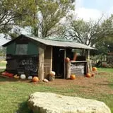Mr. Gourdman's Pumpkin Patch photo