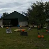 Mr. Gourdman's Pumpkin Patch photo