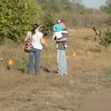 Mr. Gourdman's Pumpkin Patch photo