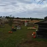 Mr. Gourdman's Pumpkin Patch photo