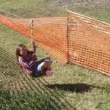 Mr. Gourdman's Pumpkin Patch photo