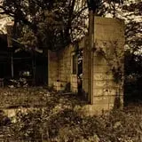 Myers Forest of Fears 