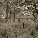 Myers Forest of Fears 