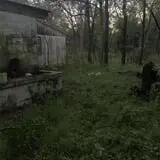 Myers Forest of Fears 