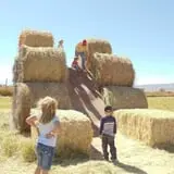 Sigurd Maze photo