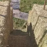 Sigurd Maze photo