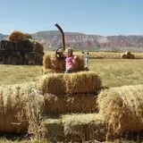 Sigurd Maze photo