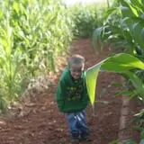 Sigurd Maze photo