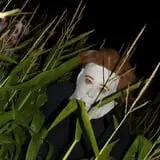 Sigurd Maze photo